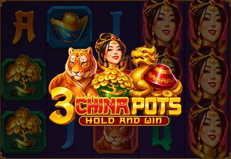 3 China Pots