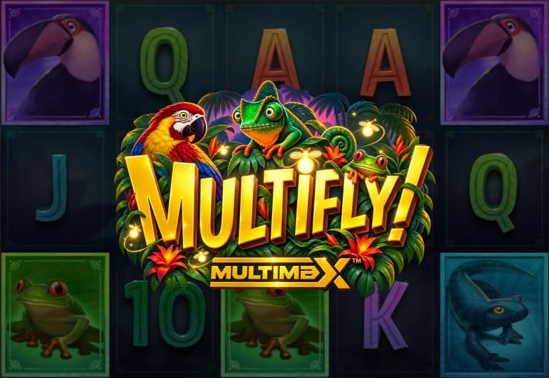 Multifly