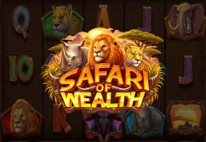 Safari of Wealth