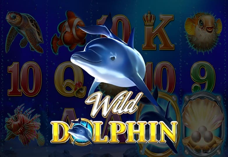 Wild Dolphin