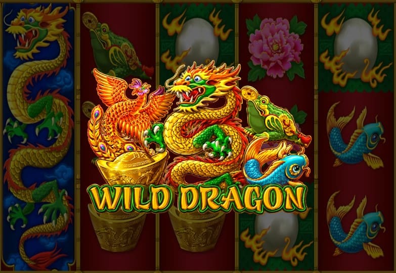 Wild Dragon